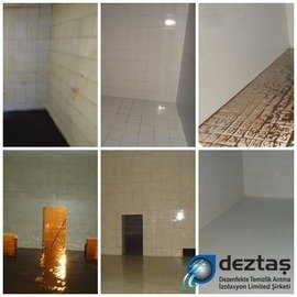 Örnek Çalışmalarımız